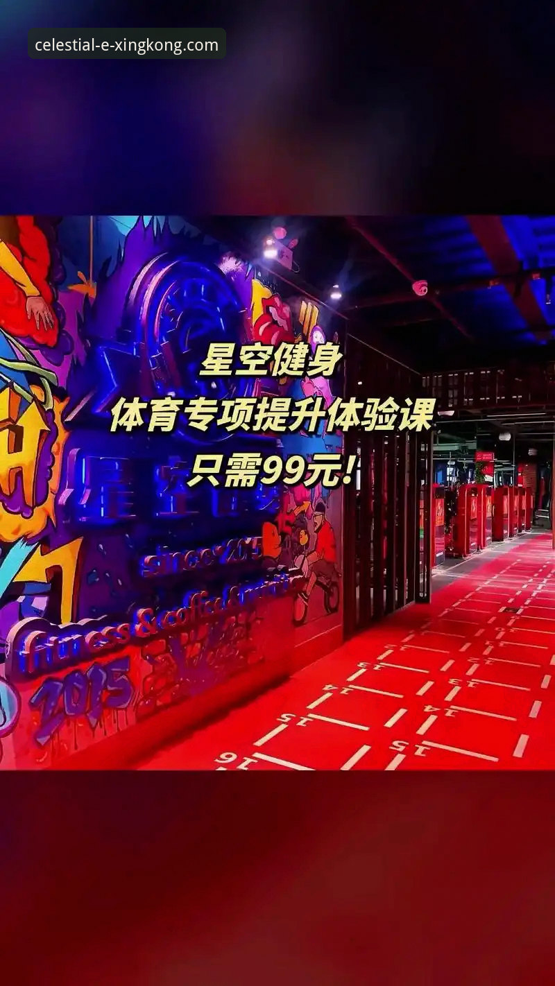星空体育平台深度体验报告：从入门到精通的星空中国使用指南