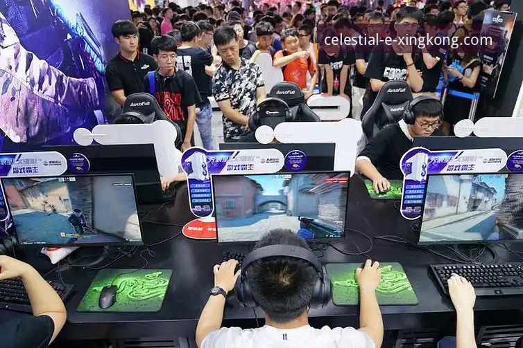资深用户分享：CJ续约背后的战术博弈与星空平台观赛体验