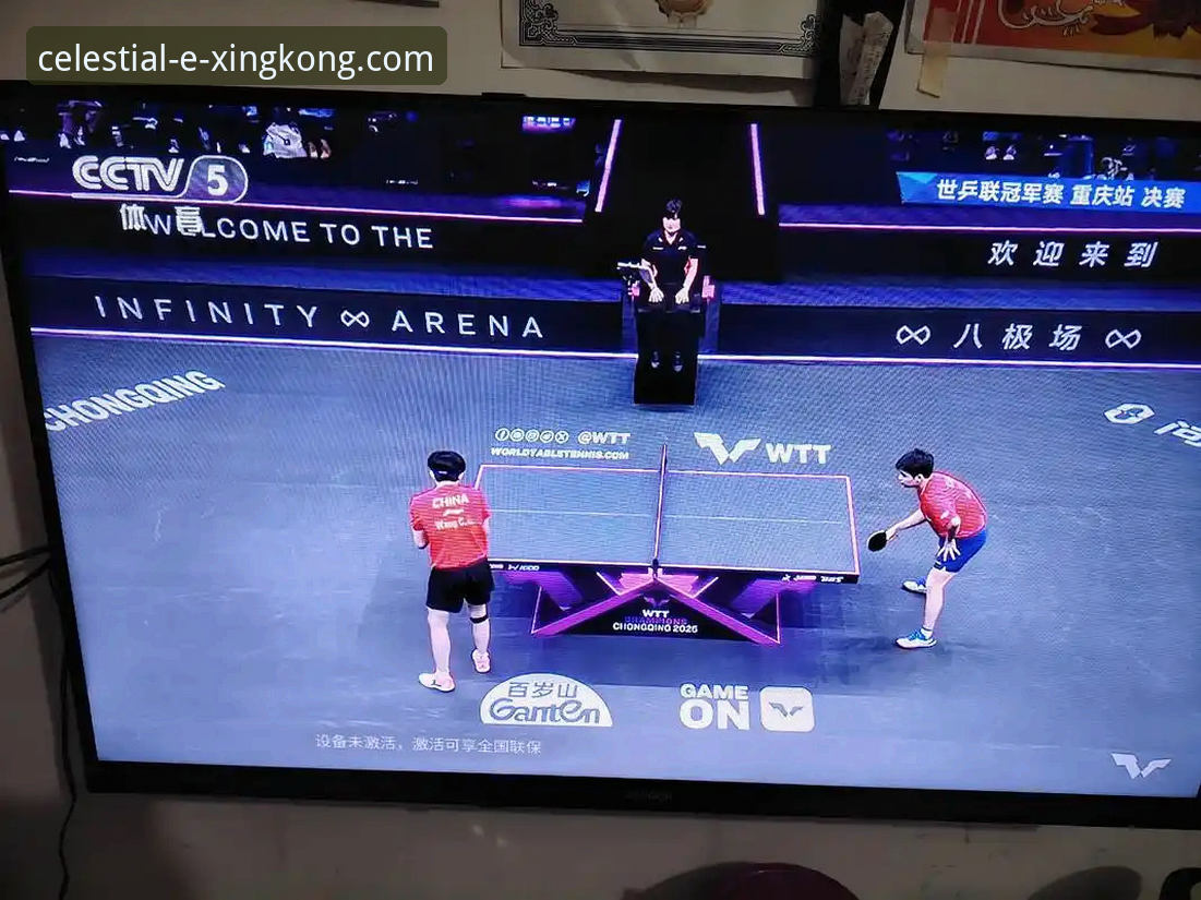 从星空体育平台看WTT决赛：解析新生代对决的实用视角