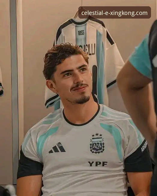 星空体育平台深度评测：从帕尼切利重伤事件，看体育资讯获取的革新体验