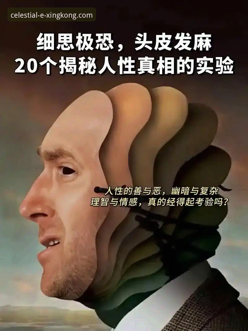 揭秘星空中国官网下载背后的技术细节与版本真相